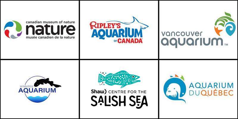 The best aquariums in Canada are Ripley's Aquarium of Canada, Quebec Aquarium, and Calgary Zoo.