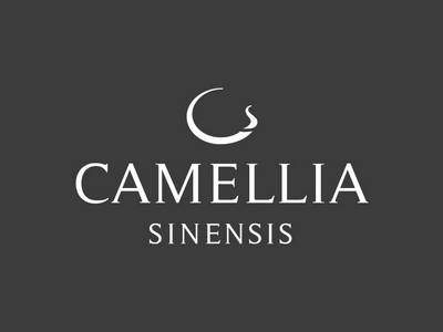 Camellia Sinensis is one of the best Canadian tea companies.