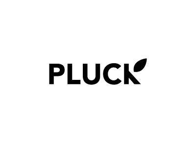 Pluck Tea is one of the best Canadian tea companies.